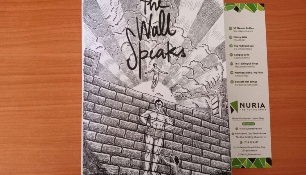 Book Review_The Wall Speaks by Jerr Rrej