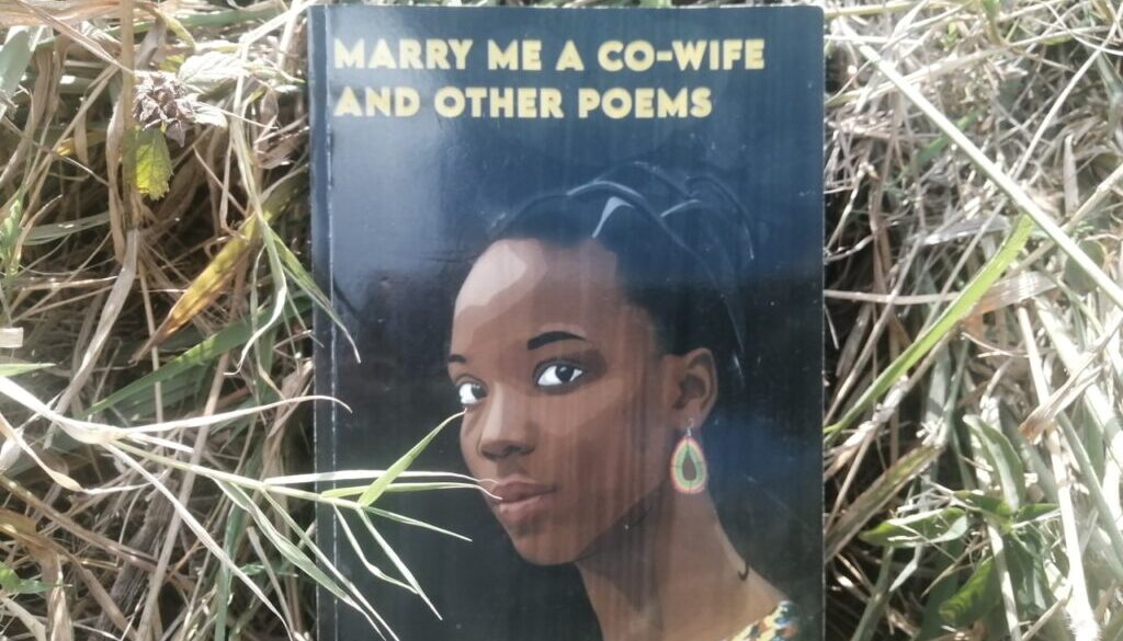 Marry Me a Co-Wife and other Poems by Jerusha Kananu Marete